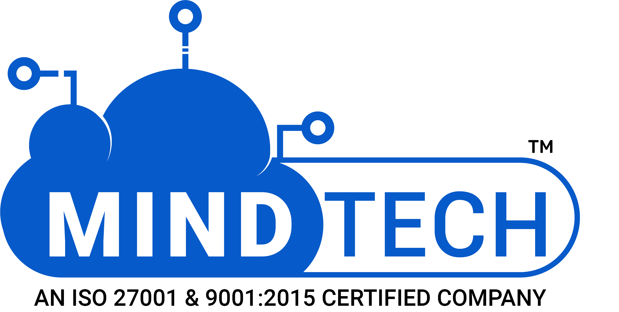 MindTech Logo Final blue